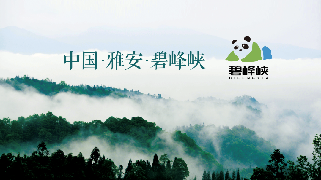 1691712766123136r1uM.png 1.png